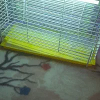 دستگاه حشره کش