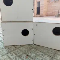 ۱۲ تا لونه عروس هلندی و گرینچیک