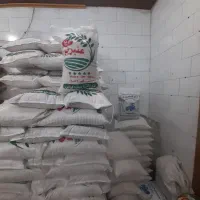 برنج عنبربو شوشتر