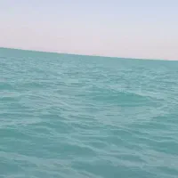 مجوز صیادی جدید