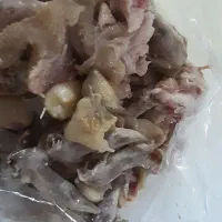 غذای سگ و گربه