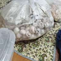 قارچ درجه یک و تو پر تکی و عمده|خوردنی و آشامیدنی|ساری, |دیوار