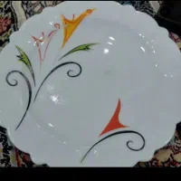 پیش دستی آرکوپال