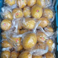 ارسال تره بار به کل تهران|خوردنی و آشامیدنی|تهران, محمودیه|دیوار