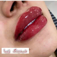 شیدینگ لب.میکرو بلیدینگ ابروبن مژه ریموو|خدمات آرایشگری و زیبایی|بندرعباس, |دیوار