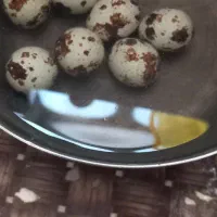 تخم بلدرچین