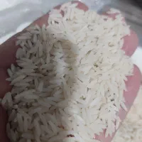 نیمدانه معطر|خوردنی و آشامیدنی|قم, شاه ابراهیم|دیوار