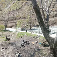 فروش-و-تهاتر-باغ-در-پل-خواب-نشترود