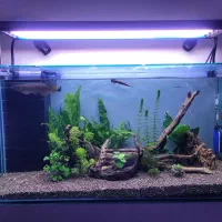 آکواریم ۲۰۰ لیتری فول امکانات