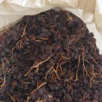 پخش مویز و کشمش اصلی دشمن زیاری|خوردنی و آشامیدنی|بوشهر, |دیوار