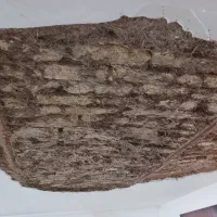 گچ کار خورده کاری گچکاری لکه گیری وابزارگچ دیوارگچ