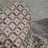 دستک پرده دانتل یک جفت نو