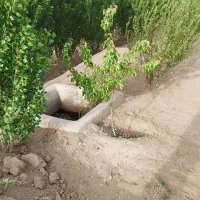 باغ|فروش زمین و ملک کلنگی|چهاردانگه (تهران), |دیوار