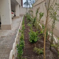 کلیه کارهای باغبانی هرس کاری پردیس رودهن دماوند