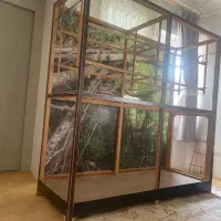 قفس پرندگان|لوازم جانبی حیوانات|لاهیجان, رجایی|دیوار