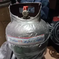 پیکنیک سالم