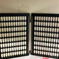 وسایل کاشتناخن|آرایشی، بهداشتی، درمانی|پرند, فاز ۵|دیوار