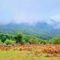 ۴۰۰ متر زمین، دهکده ی توریستی کُلیَک|فروش زمین و ملک کلنگی|کجور, |دیوار