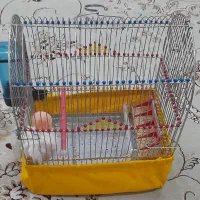 قفس کوچک پرنده