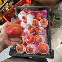 صندوقدار خانم و نیروی ساده آقا