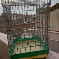 قفس کاسکویی