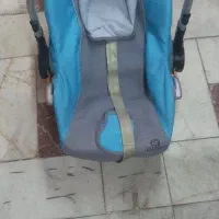 کریر سالم جنس قدیم