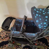 کالسکه دوقلو دلیجان|کالسکه و لوازم جانبی|صدرا-فارس, فاز ۱|دیوار