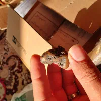 شهاب سنگ|کلکسیون اشیاء عتیقه|محلات, |دیوار