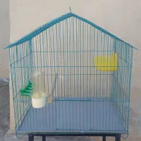 قفس|لوازم جانبی حیوانات|ایذه, |دیوار