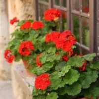 خوابگاه پسرانه مخصوص آقایان شاغل و دانشجو