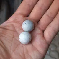 سنگ الماس اسیاب در کاسه یشم