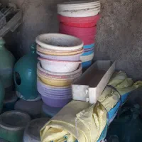 کبوتر پرشی|پرنده|هشتگرد, هشتگرد قدیم|دیوار