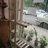 فروش دکور مغازه