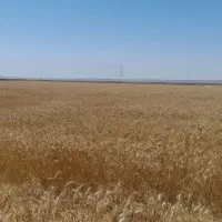 اجاره زمین کشاورزی فرخ آباد