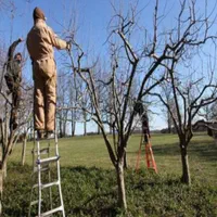 هرس برش درخت و خدمات باغبانی|خدمات باغبانی و درختکاری|اصفهان, خرم|دیوار