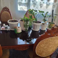 میز ناهارخوری چوب گردو +کاور صندلی+ بوفه|میز و صندلی غذاخوری|سبزوار, ولیعصر (نجار آباد)|دیوار