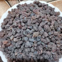 کشمش آذربایجان ملکان|خوردنی و آشامیدنی|ری, دولتآباد|دیوار