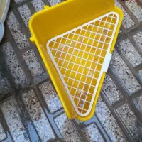 خرگوش لوپ خیلی هم بازی گوش|موش و خرگوش|مشهد, شهید قربانی|دیوار