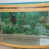 شیشه آکواریوم