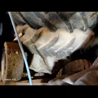 لوازم رومانی|خودرو سنگین|ملارد, |دیوار