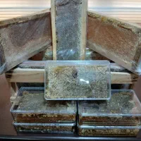 عسل بدون موم|خوردنی و آشامیدنی|تهران, امیریه|دیوار