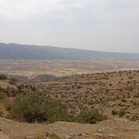 زمین-کشاورزی-جاده-گاوسوار