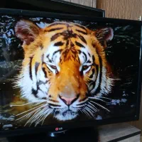 تلویزیون LED ال جی 32 اصل کره