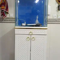 آکواریوم شرکتی آکوا