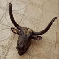 چند عدد دیوارکوب