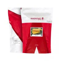 ذرت سوپر سوئیت INCA F1