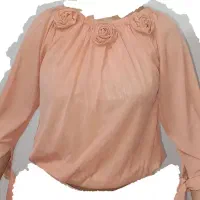 ۲ عدد شومیز|لباس|مشهد, رده|دیوار