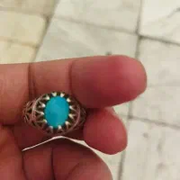 فیروزه عجمی