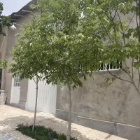 کارگاه 100 متری سیاسنگ 7036
