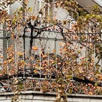 سمساری. . و   ضایعات  لوازم خانگی   اداری. صنعتی